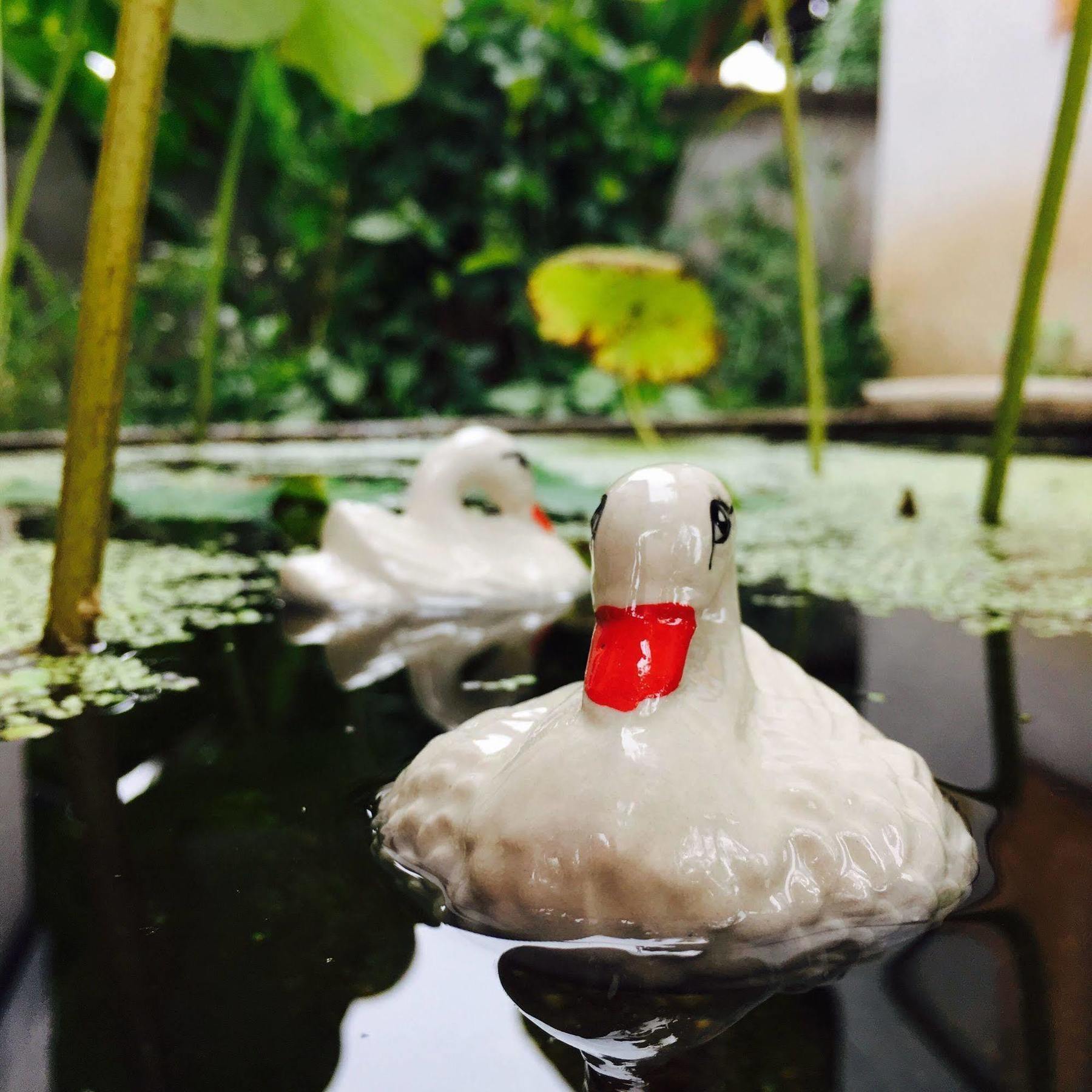 Ming Guesthouse パーイ エクステリア 写真