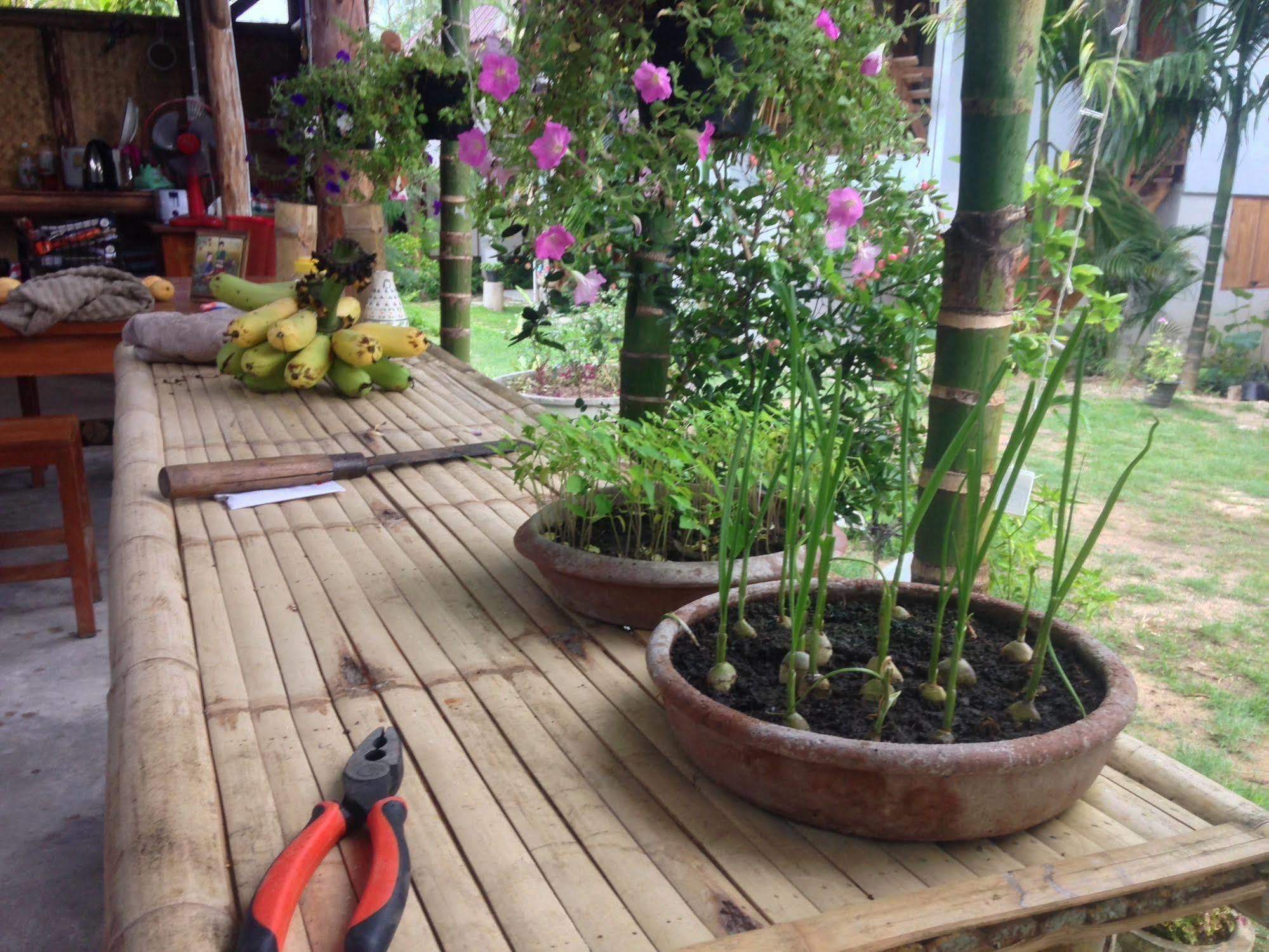 Ming Guesthouse パーイ エクステリア 写真